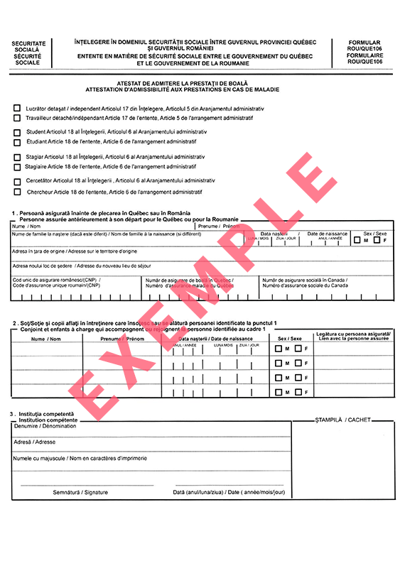 Exemple du formulaire Roumanie